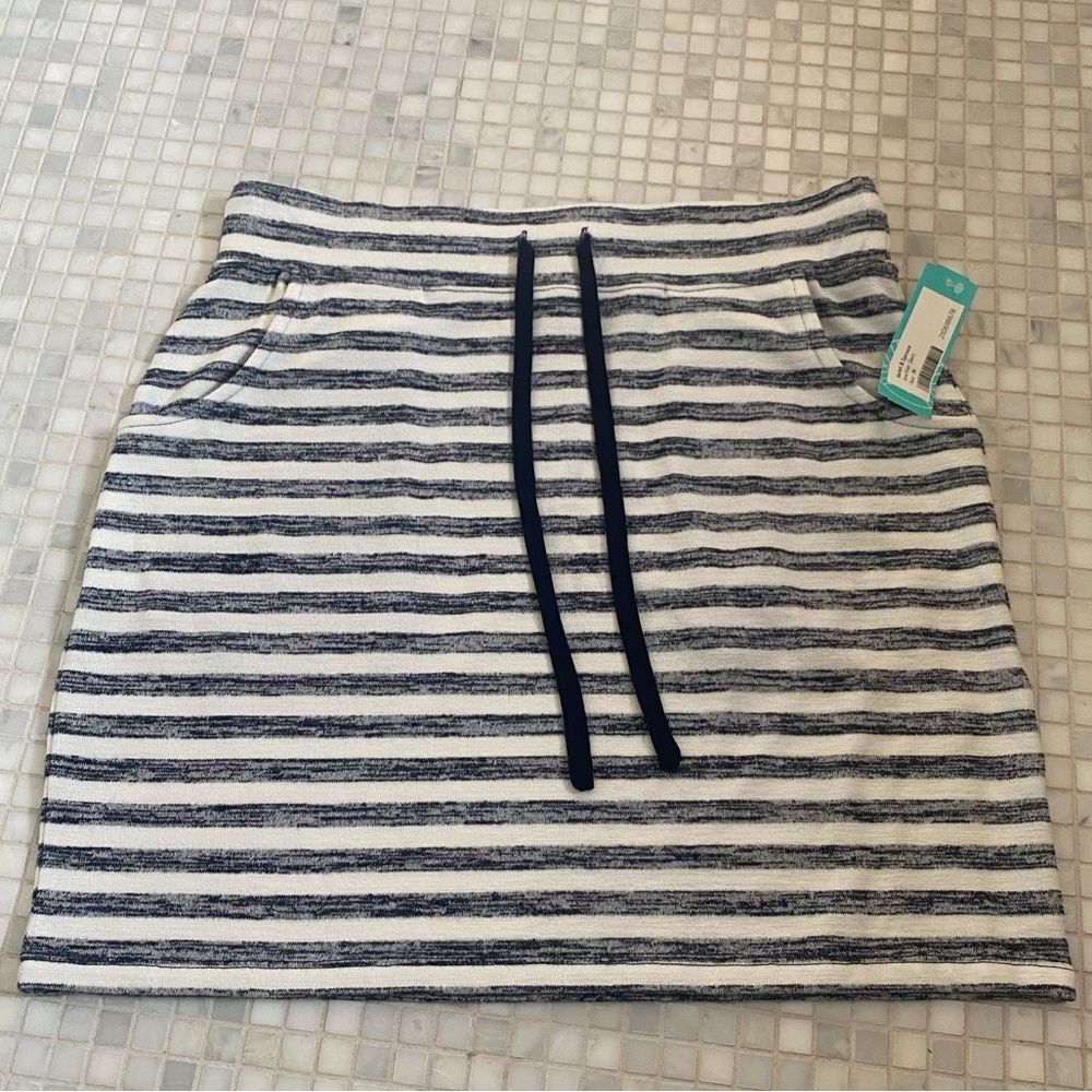 NWT Market & Spruce StitchFix Amia Striped Knit Skirt